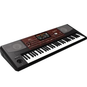 Piano korg PA700: imagen 2