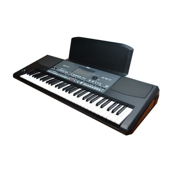 Teclado Korg PA600