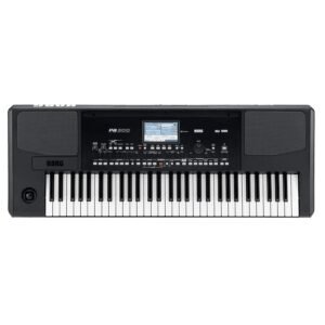 KORG PA300