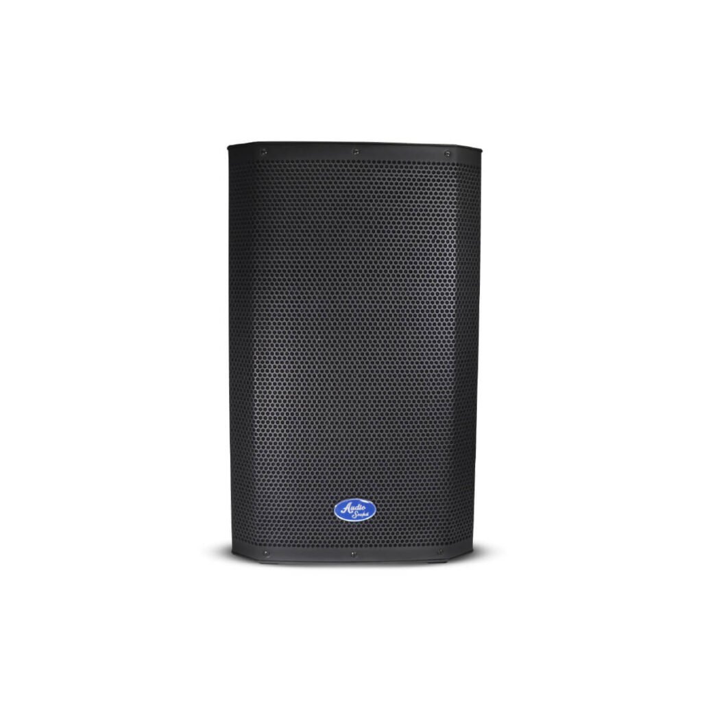 Cabina Pasiva Audio Sound ASP-800 de 10 Pulgadas