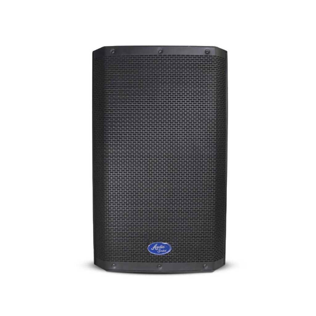 Cabina Pasiva Audio Sound ASP-1200 de 12 Pulgadas