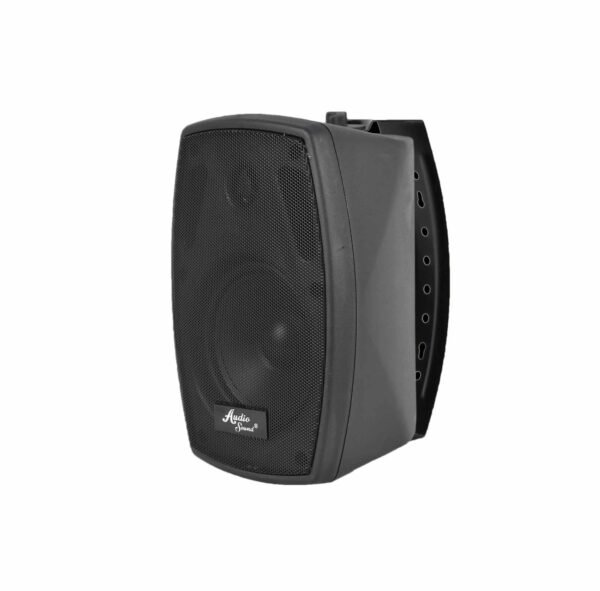 Parlante ambiental AS-5.25T de 5.25 pulgadas – Audio Sound