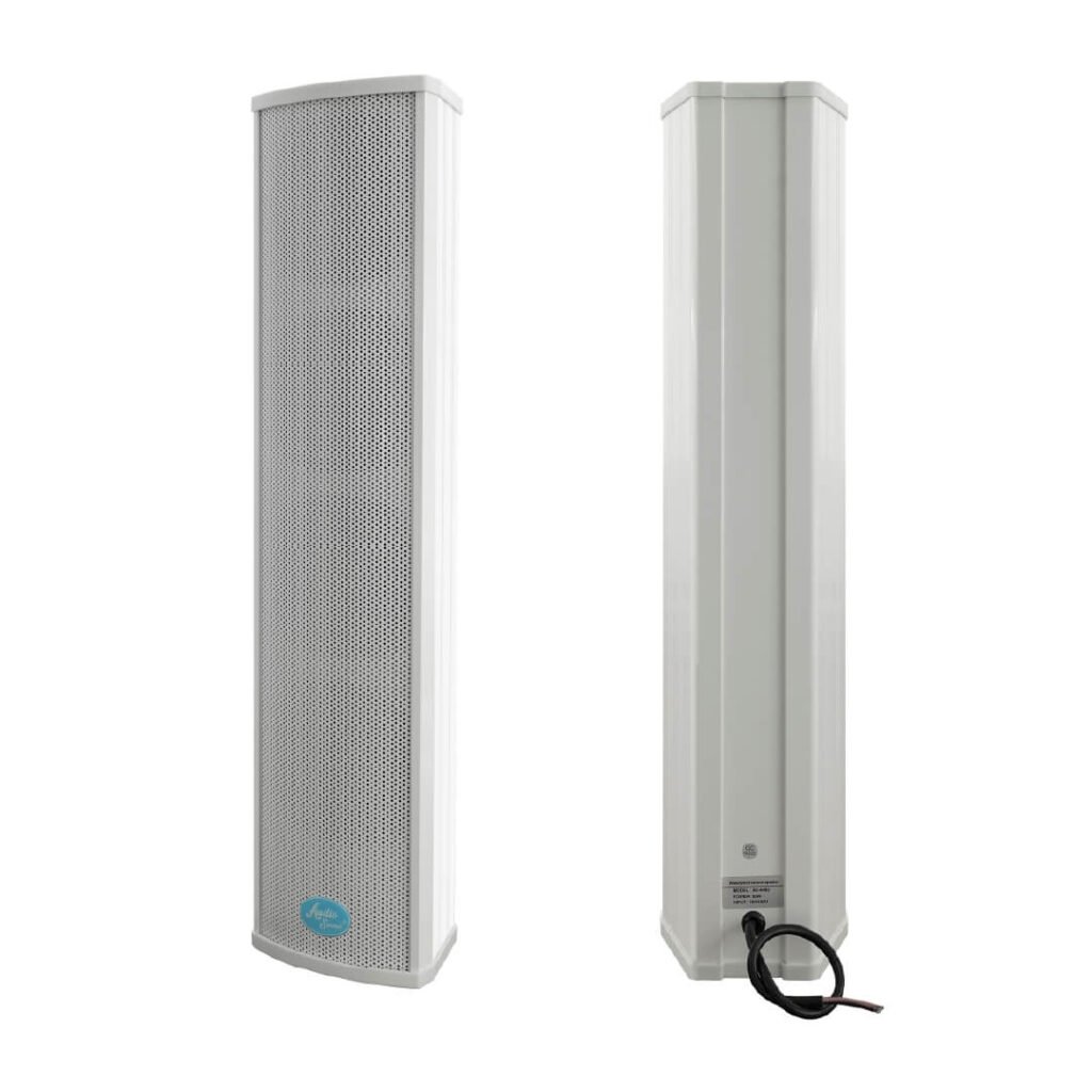 Parlante Ambiental Audio Sound AS-4460 Profesional