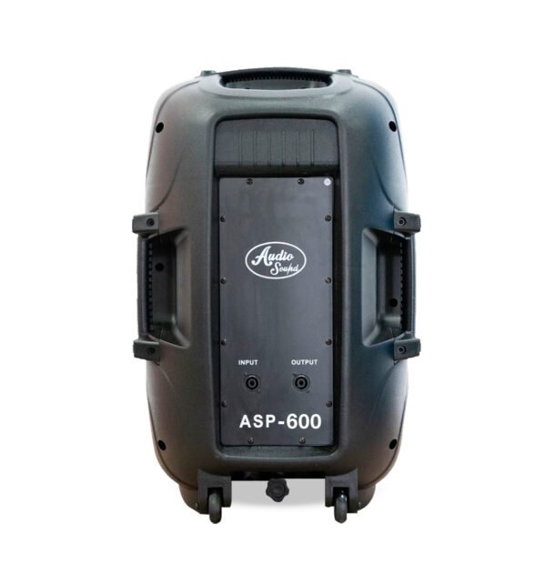Cabina pasiva ASP-600 de 15 pulgadas – Audio Sound