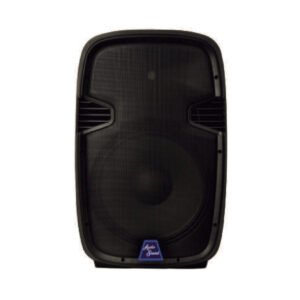 Cabina pasiva ASP-600 de 15 pulgadas – Audio Sound