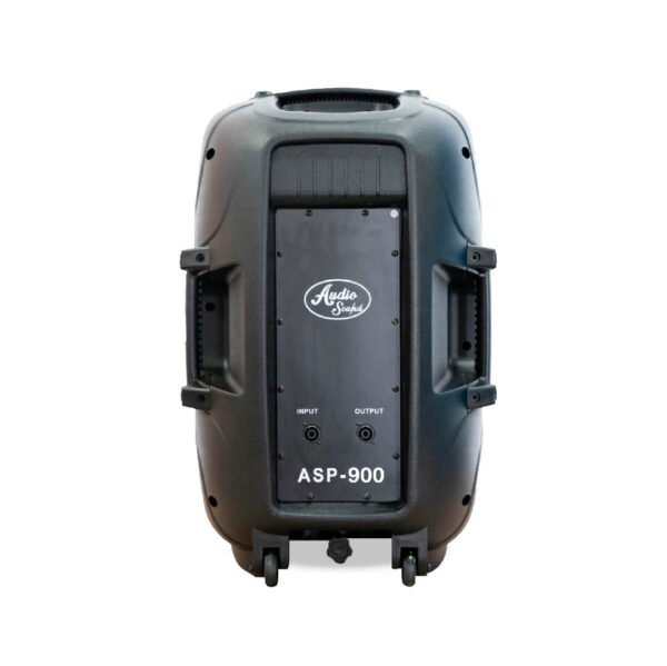 Cabina pasiva ASP-900 de 15 pulgadas – Audio Sound