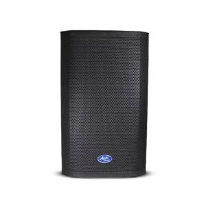 Cabina pasiva ASP-1000 de 15 pulgadas – Audio Sound