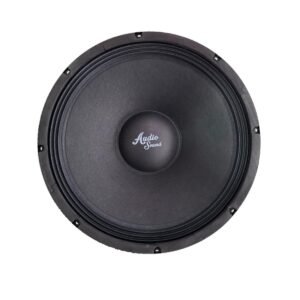 Parlante para ensamble ASW-1200 de 15 pulgadas – Audio Sound