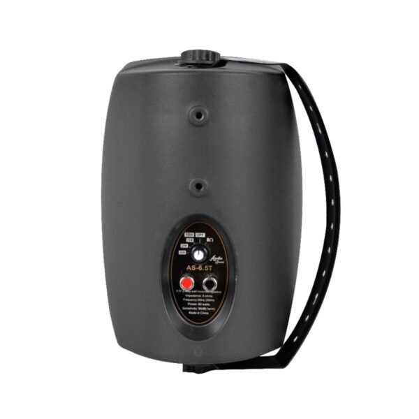 Parlante ambiental AS-6.5T de 6.5 pulgadas – Audio Sound