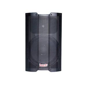 ALTAVOZ AMPLIFICADO P15AH-DSP
