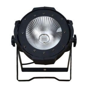PL100RGB PAR LED RGB 100w PL PRO LIGHT: imagen 2