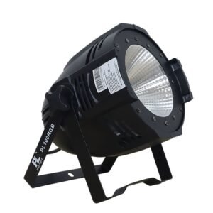 PL100RGB PAR LED RGB 100w PL PRO LIGHT