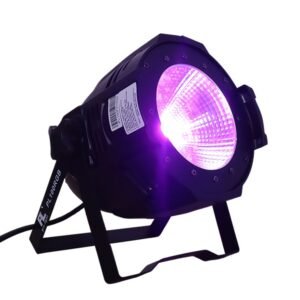 PL100RGB PAR LED RGB 100w PL PRO LIGHT: imagen 4