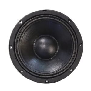 SN10-700 Parlante de 10 Pa Pro Audio 700W 97dB